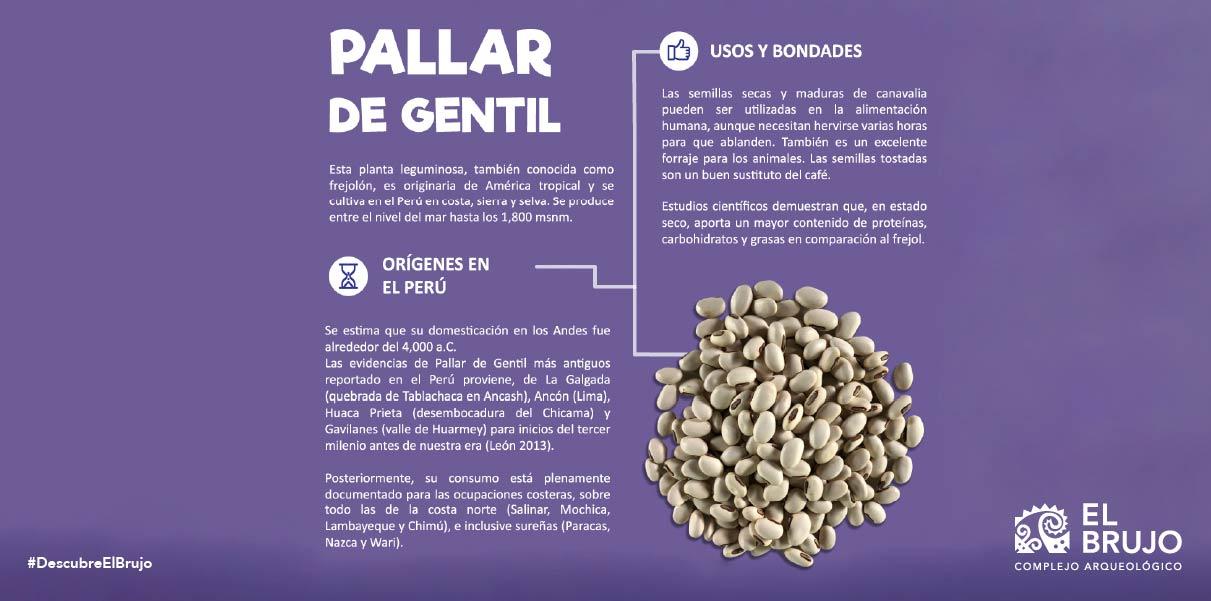 Orígenes en el Perú del Pallar del Gentil